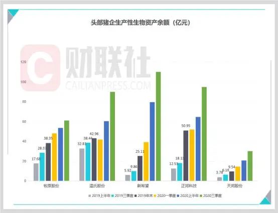 头部企业
