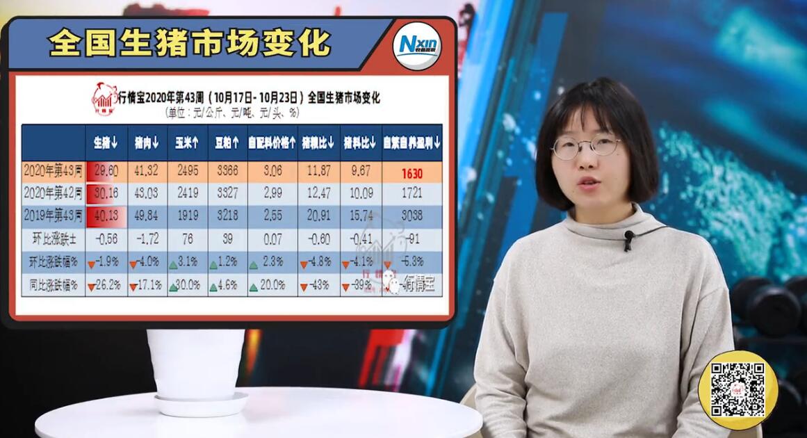 猪价能否再现5月快速反弹？恐怕要问这些猪场