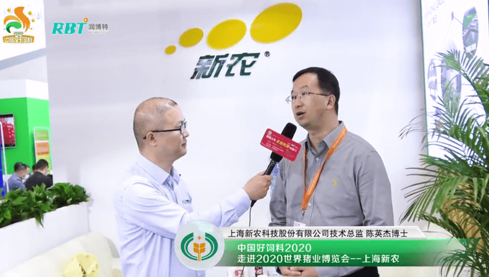 2020李曼养猪大会采访新农科技术总监陈英杰