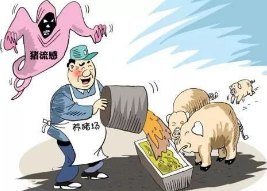 肇东农业局回应病死猪事件：当事人逃离，屠宰场正常营业