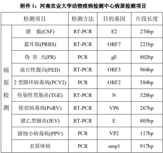 检测报告