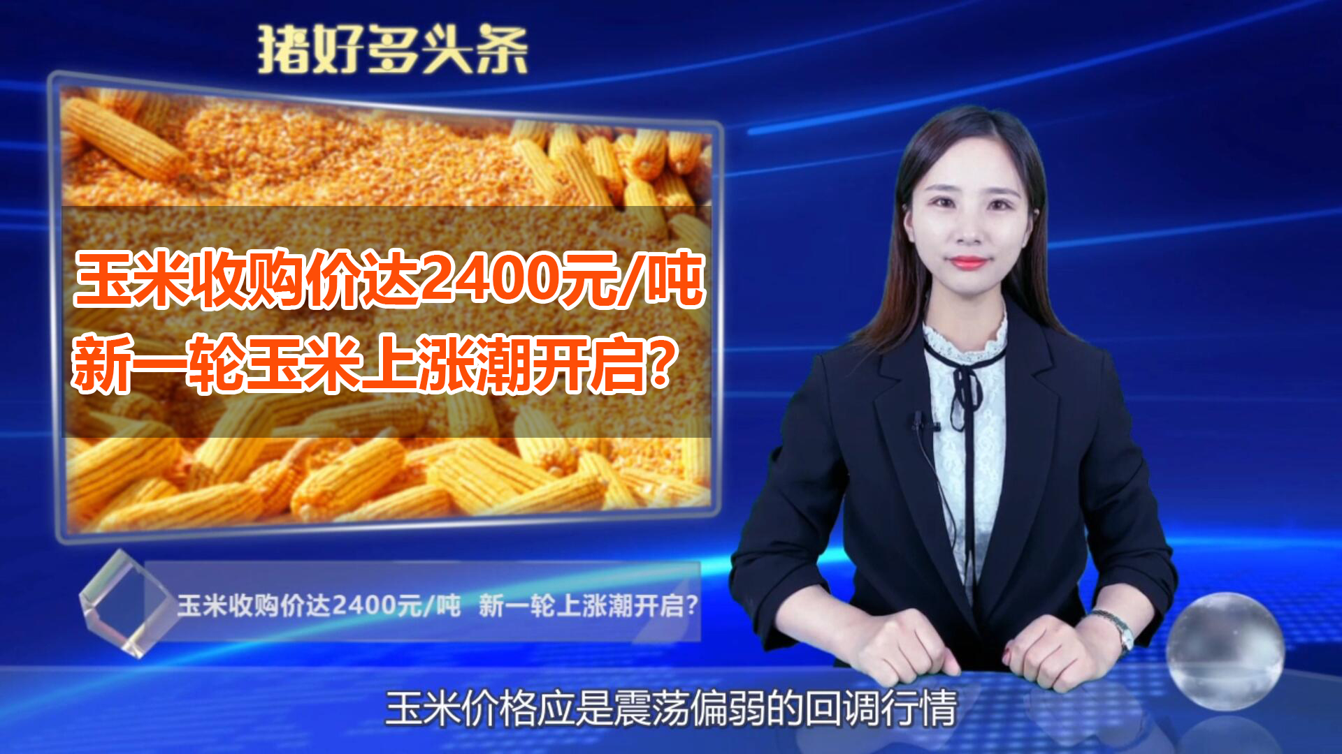 中储粮开收玉米了！收购价达2400元/吨，新一轮玉米上涨潮开启？