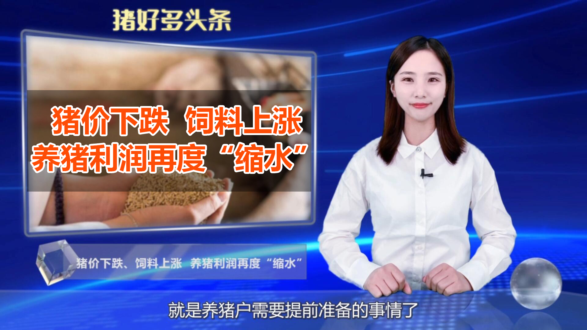 猪价下跌，饲料上涨，养猪利润再度“缩水”，养殖户该怎么办？