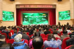 放心，2021养猪仍盈利！——关于猪价，唐山养猪峰会的专家这么说