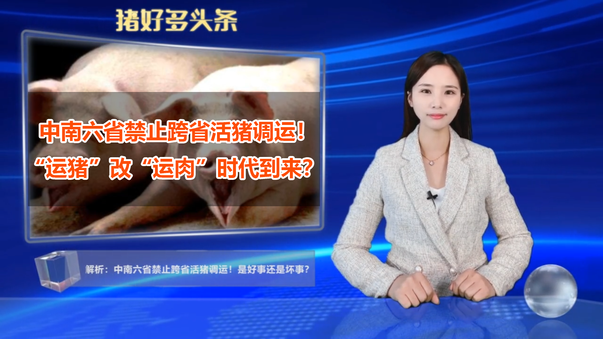 解析：中南六省禁止跨省活猪调运！“运猪”改“运肉”时代到来？