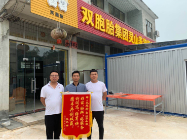 养猪4年，发现这样养猪才最简单！