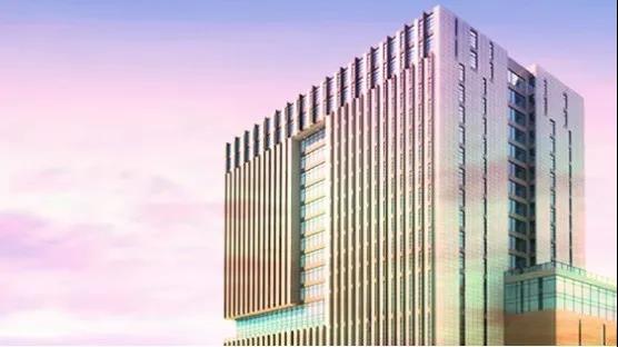 金新农：前三季度销售种猪近7万头，当前仔猪销售压力较大