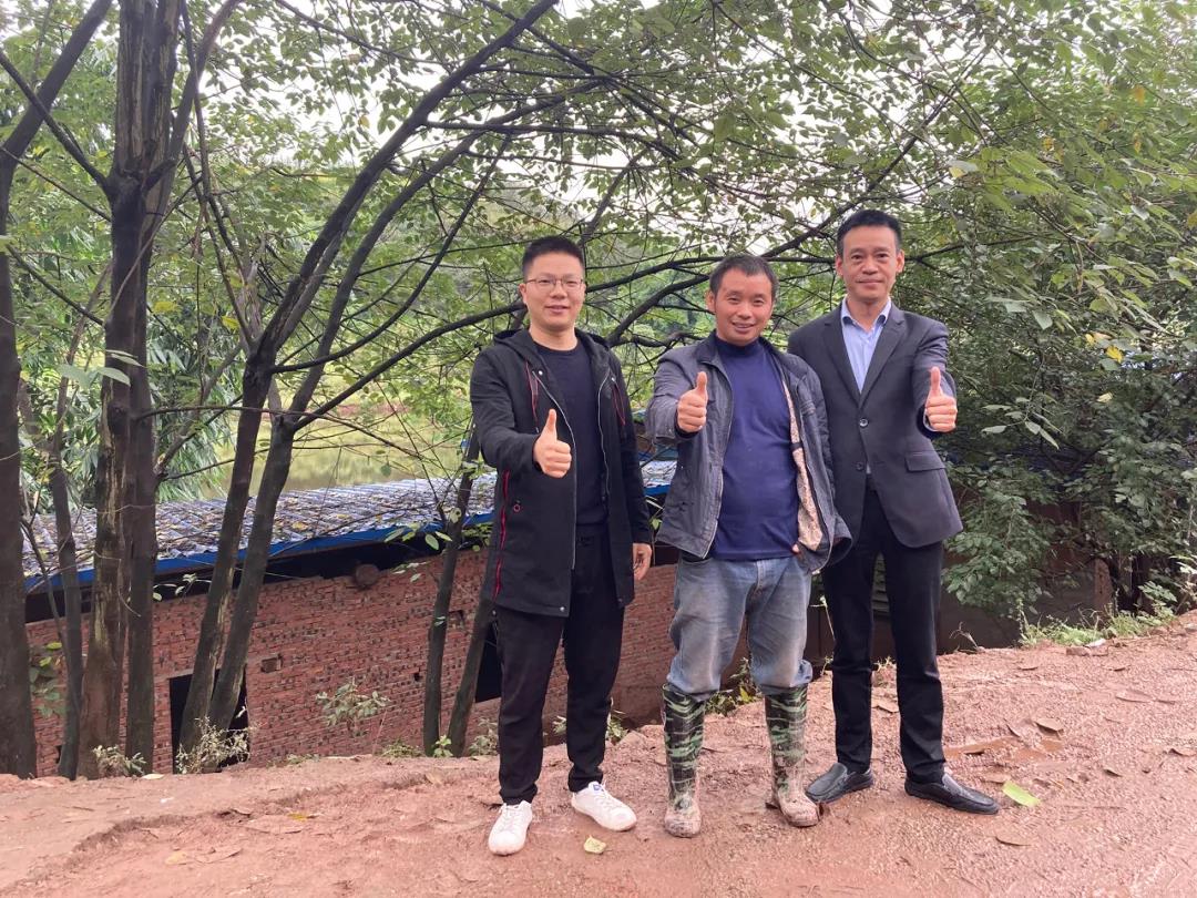 重庆猪场老板杨涛