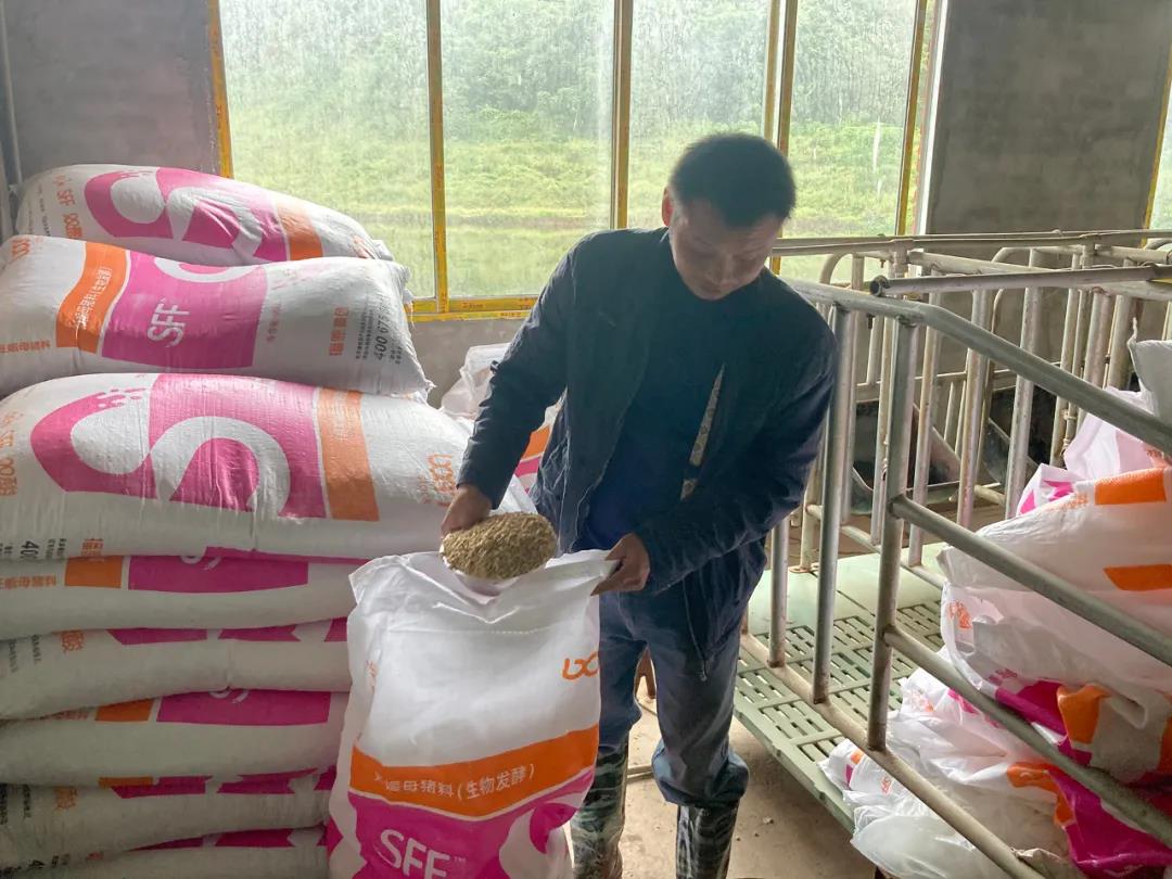 重庆猪场老板杨涛