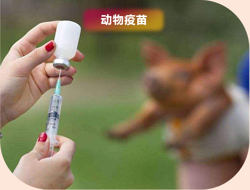 动物疫苗