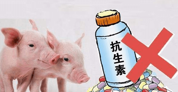预计到2030年，兽用抗生素或将达10万吨，中兽药或成为无抗养殖利器