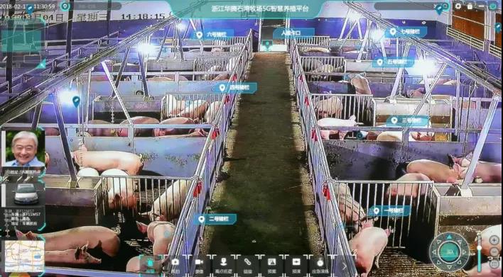 浙江桐乡“5G生态牧场”来了！智慧养猪行业新风向标！