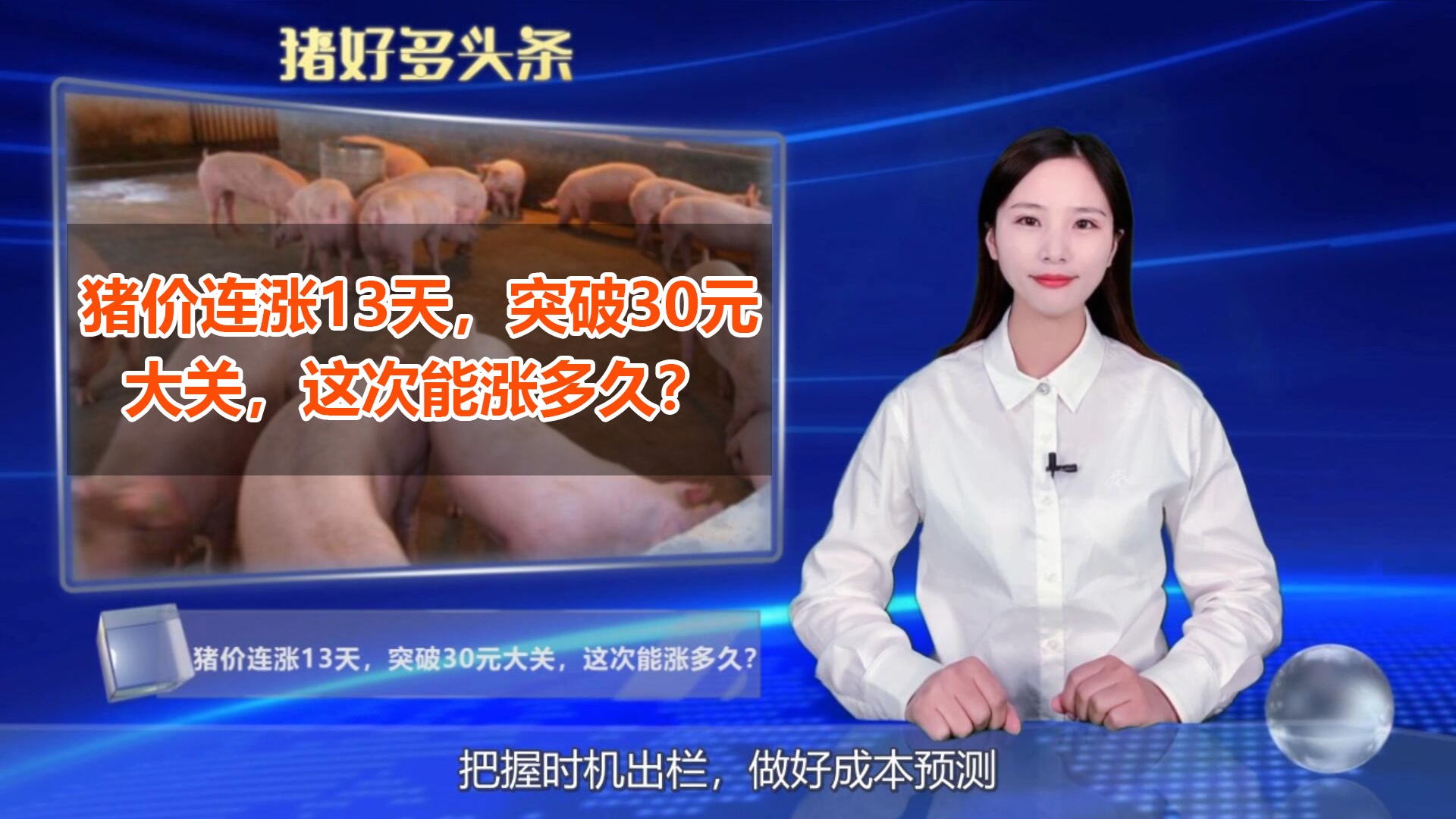 猪价预测：猪价连涨13天，突破30元大关，这次能涨多久？