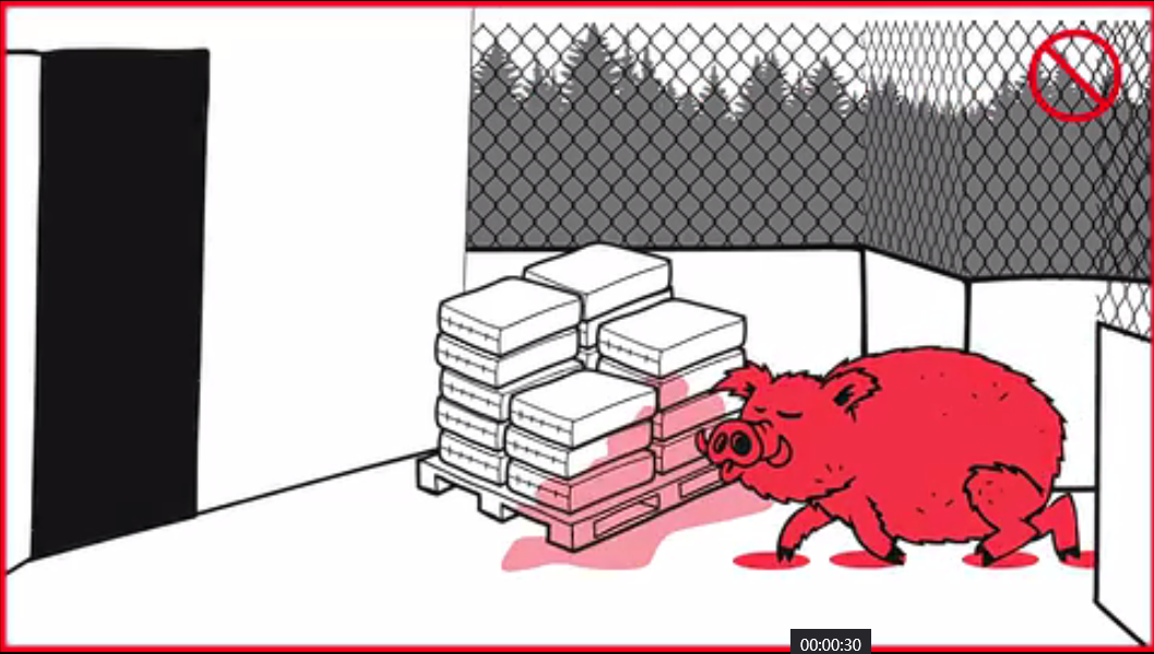 猪场生物安全——怎样利用周边围栏保护外区安全