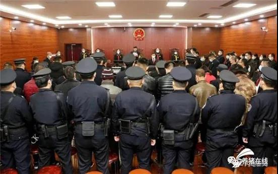 枣庄市刘亭等36人涉黑案一审宣判