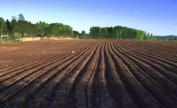 安徽：1.2亿元资金，在44个县区试点推广商品有机肥60万吨