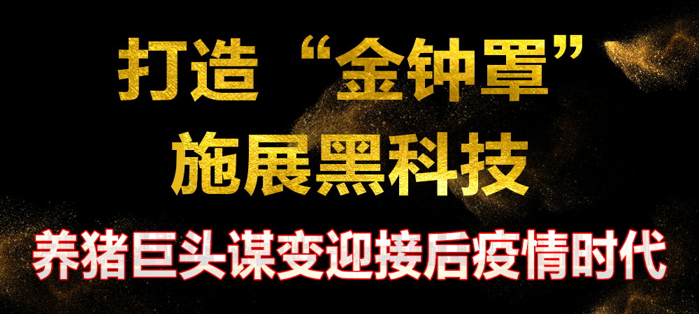 养猪高利润引企业跨界养猪，生猪产业要转型升级？