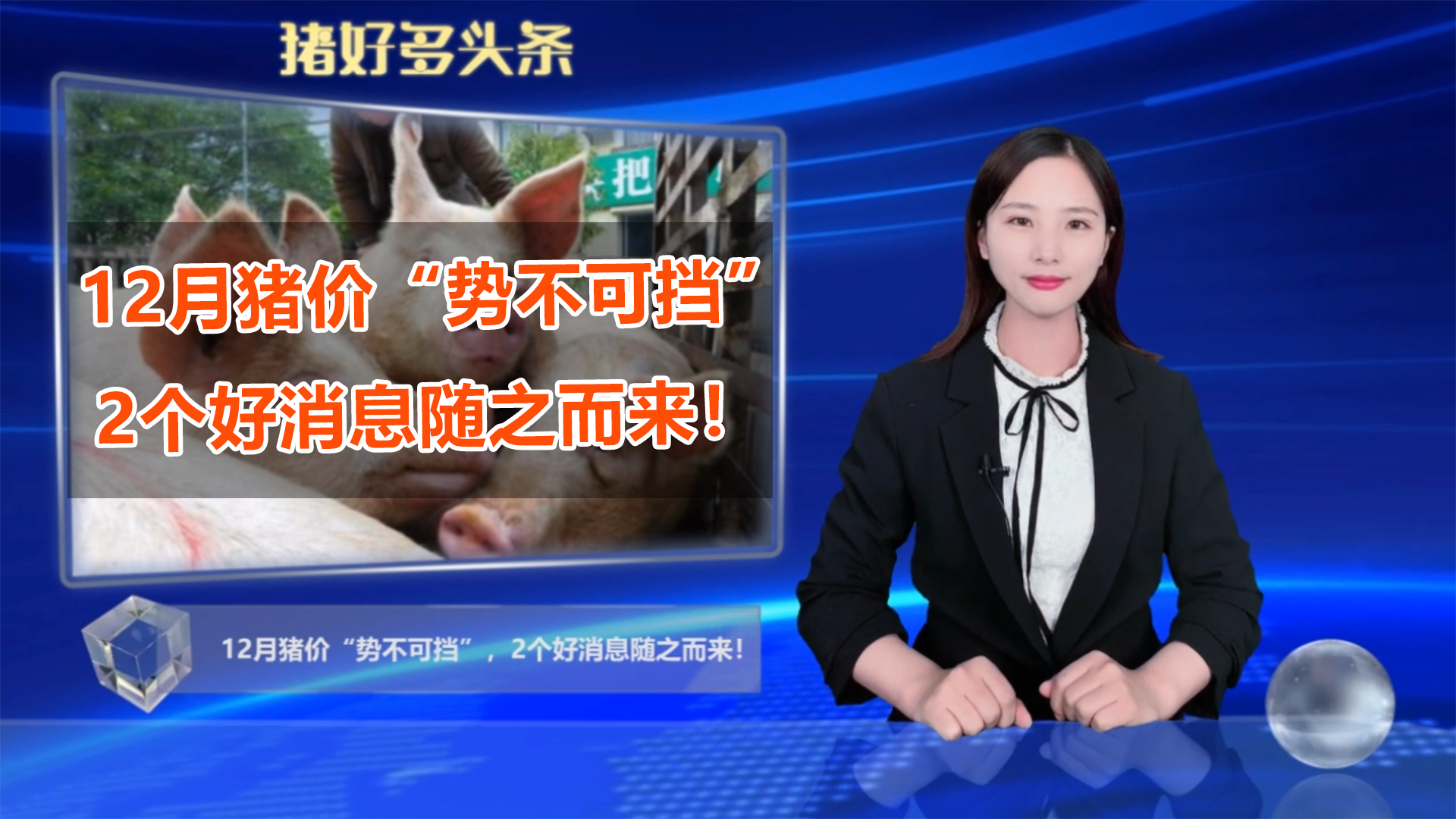 12月猪价“势不可挡”，猪肉进口缩水，2个好消息随之而来！
