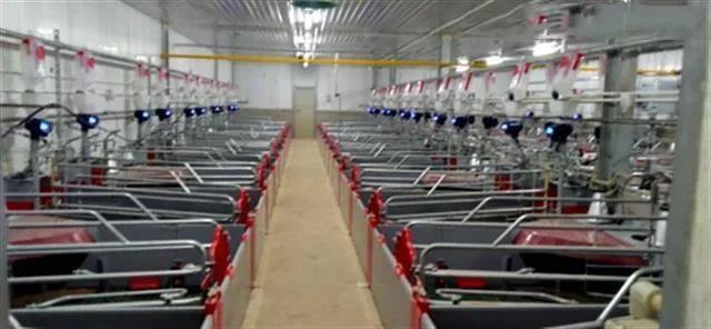 武汉首家数字化智能化猪场完工投产，实现年出栏生猪50000头！