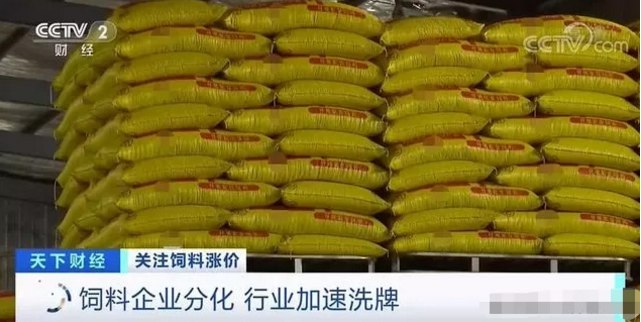 我国饲料产量高速增长，企业数量会加速洗牌减少到1000家内