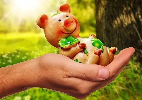 把握好这5点，教你做出科学高效的发酵床猪舍