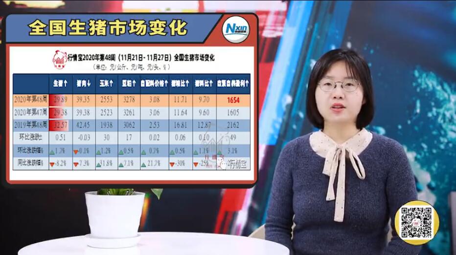 猪价上涨，什么原因导致1天涨1块？12月还能继续涨？