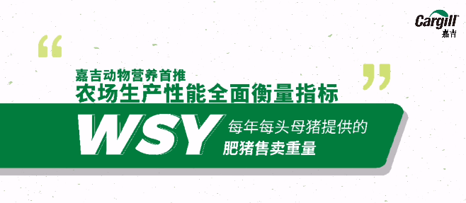 如何发掘从你指缝间溜走的生产潜能？用“WYS”来衡量猪场整体盈利效率！