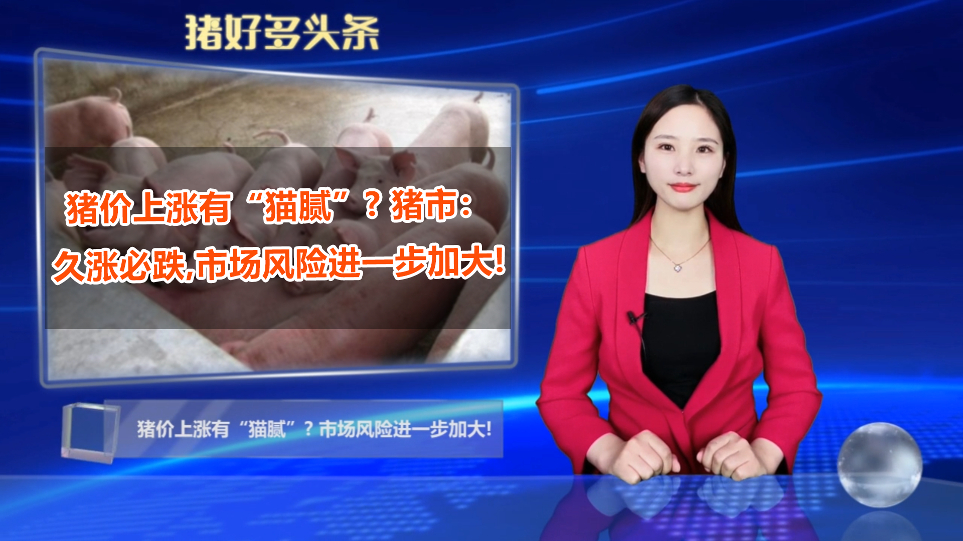  猪价上涨有“猫腻”? 警惕：久涨必跌，市场风险进一步加大!