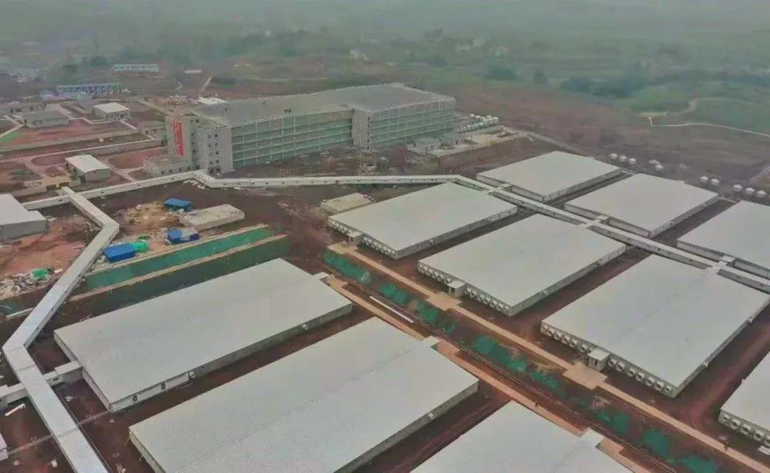 喜报！新希望六和首个楼房养猪项目竣工交付
