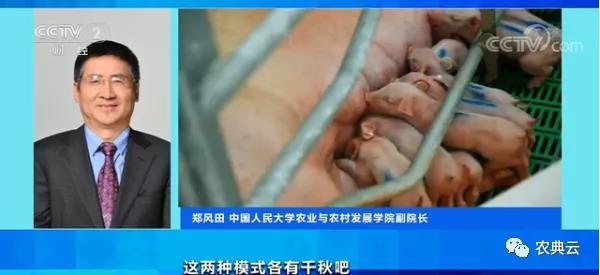 1头猪利润=2瓶茅台酒？菜市场现“抢肉大战”！