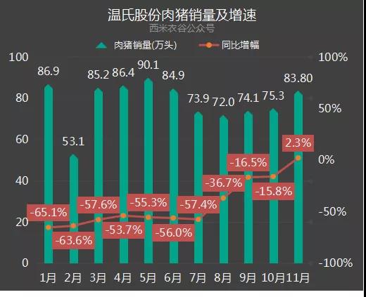 肉猪销量