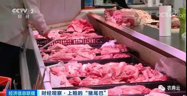 1头猪利润=2瓶茅台酒？菜市场现“抢肉大战”！