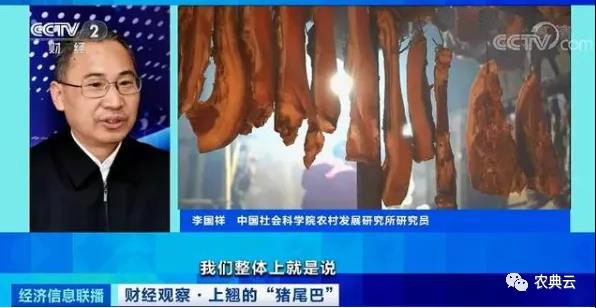 1头猪利润=2瓶茅台酒？菜市场现“抢肉大战”！