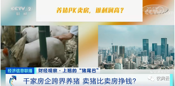 1头猪利润=2瓶茅台酒？菜市场现“抢肉大战”！