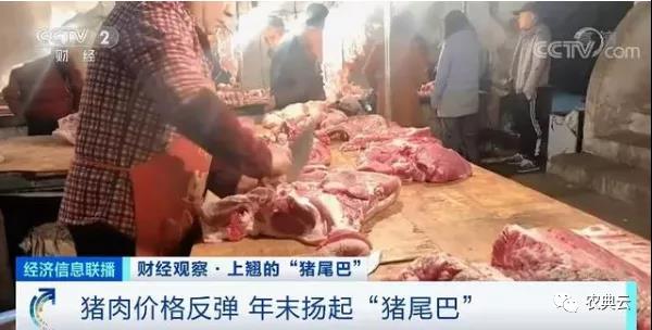 1头猪利润=2瓶茅台酒？菜市场现“抢肉大战”！