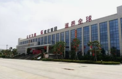 傲农生物：11月生猪销量创2020年最高位，股东减持计划完成 