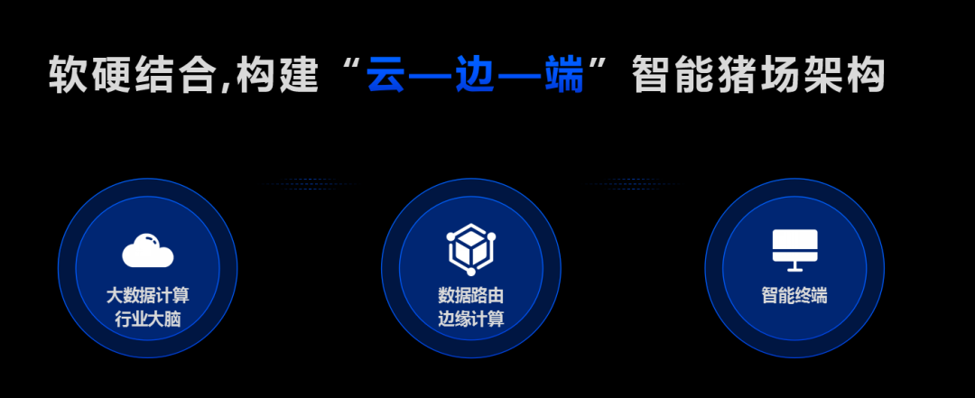 智能养猪