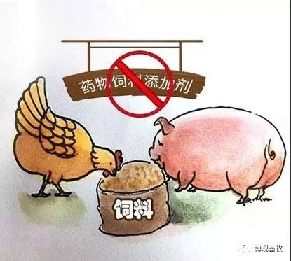 无抗