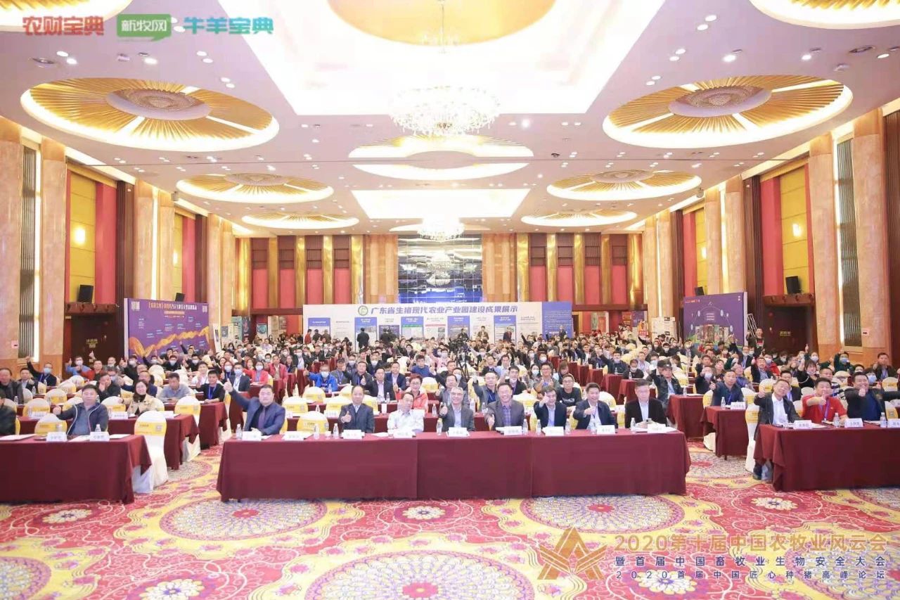 大会现场