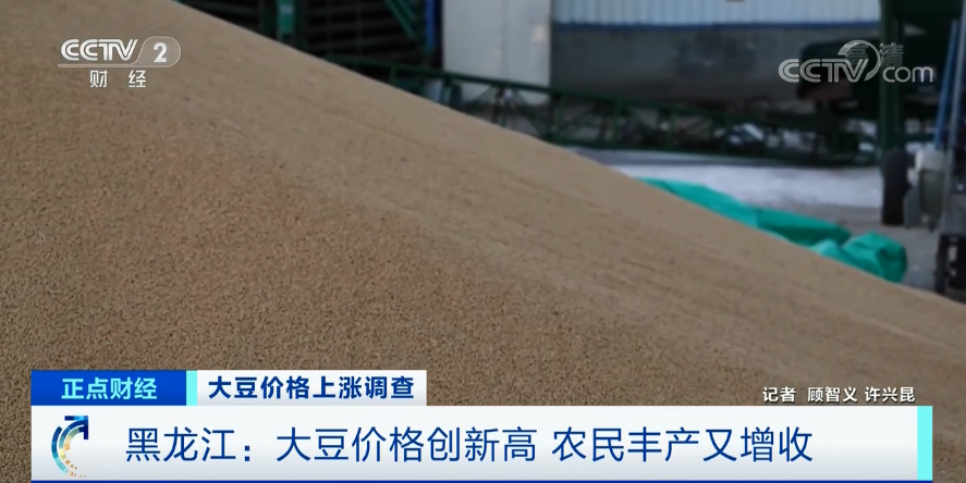 蹊跷！大豆都去哪了？！神秘资本囤积大豆，他们在赌什么？