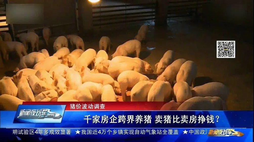 圈地还是卖肉？业内：房企多元化布局仍需防范风险！