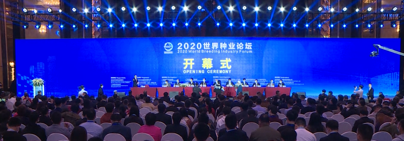 温氏股份温志芬董事长主持2020世界种业论坛开幕式