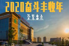 2020年是奋斗年、发展年、丰收年!扬翔逆势而上,收获满满！(一）