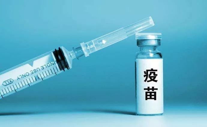 猪蓝耳病疫苗怎么选？三种活疫苗安全性和免疫效力研究表明：“瑞兰安”是防控高致病性猪蓝耳病的佼佼者！