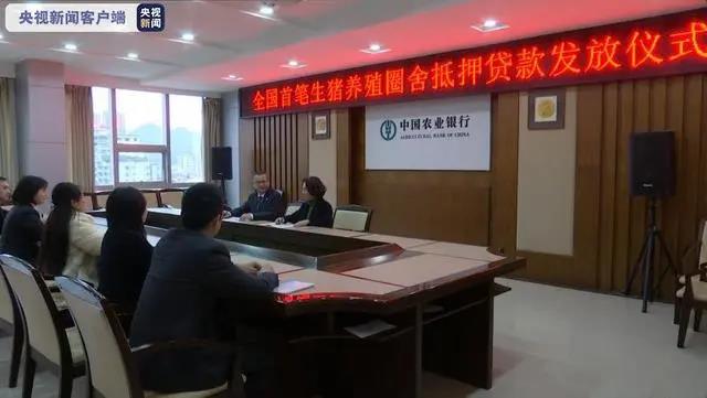 1500万元贷款落地！全国首笔！流转土地建的生猪圈舍也能确权登记并抵押贷款！
