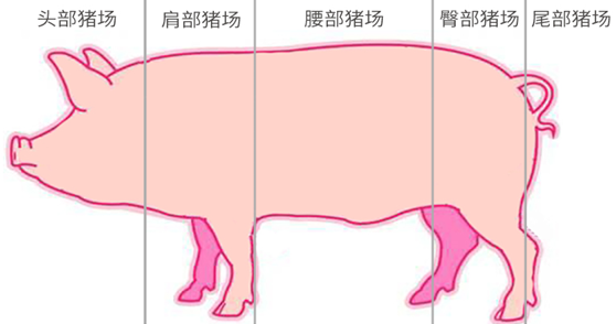 曹总划分的猪场类别示意图