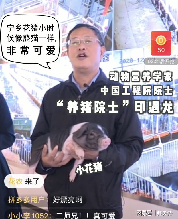 印遇龙