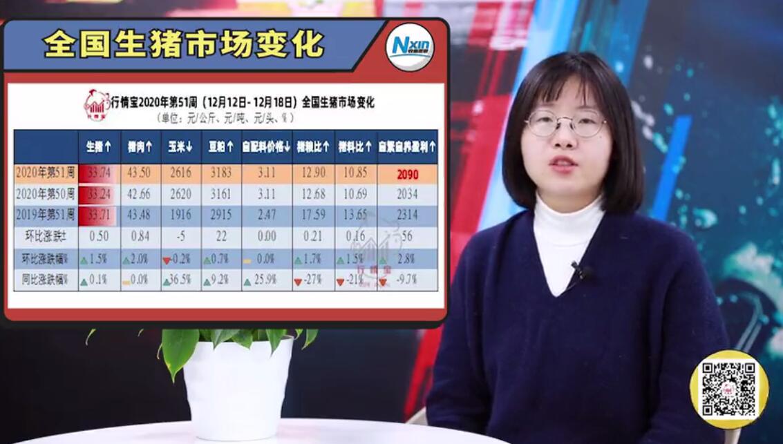 最新猪价预测：猪价涨不动了？别慌，还坚挺！