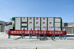 好消息！天兆猪业兰州核心育种场第一批加系种猪引种成功