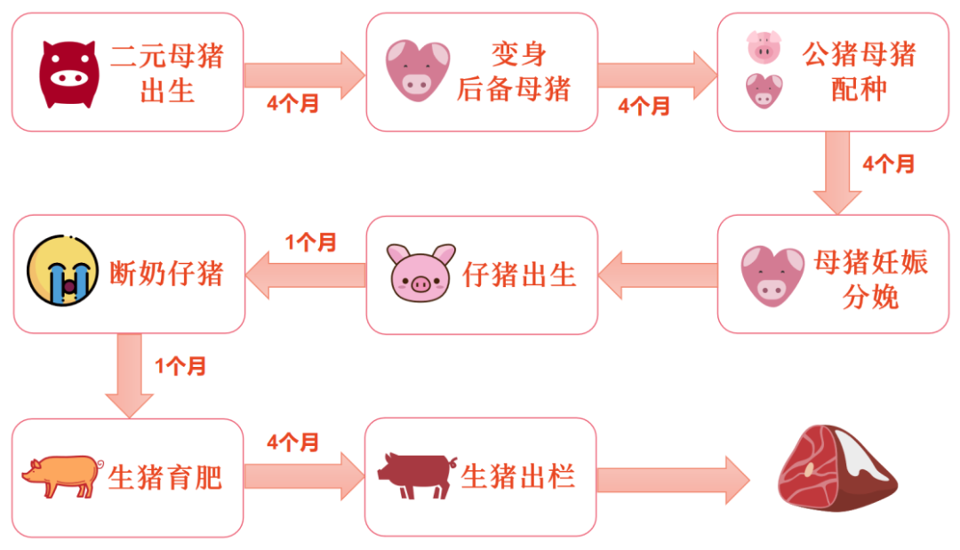我国生猪市场规模已由正常年份的近万亿元上升为近2万亿元！
